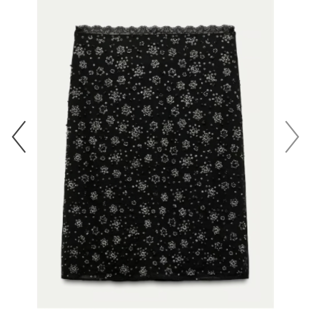 Zara ZW collection embroidered beaded skirt-Large